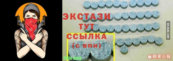 шишки Аркадак
