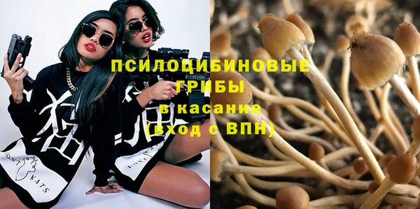 ПСИЛОЦИБИНОВЫЕ ГРИБЫ Армянск