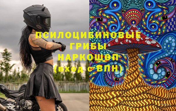 прущие грибы Фёдоровский